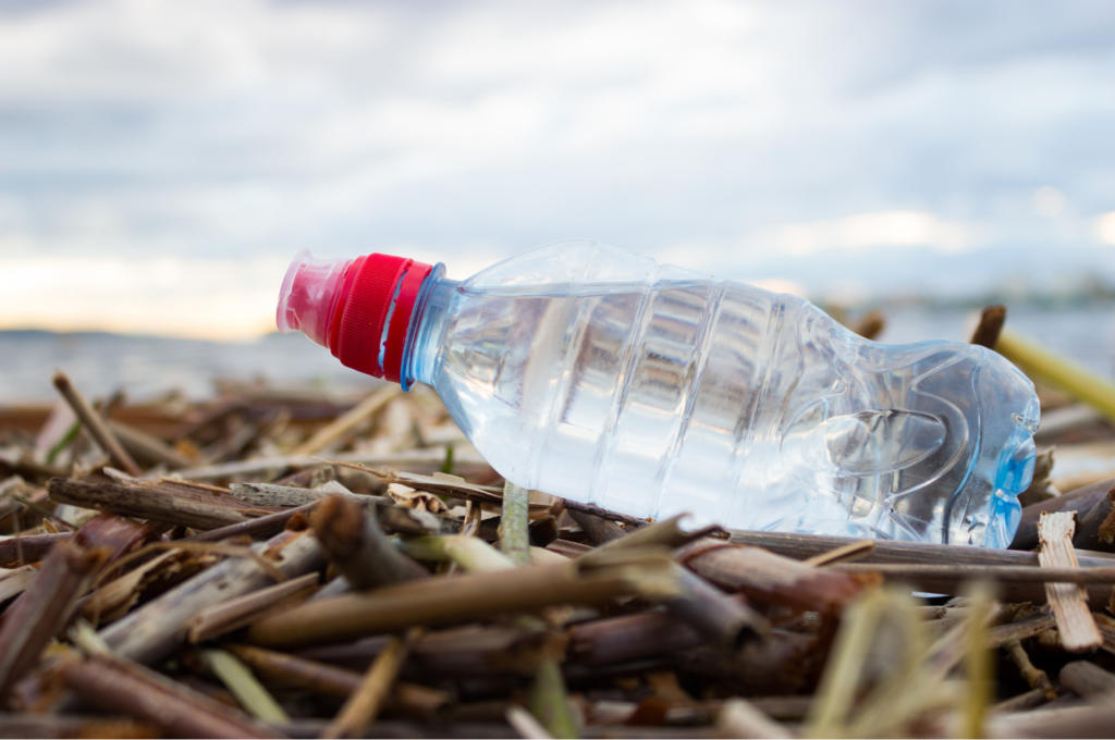 Image is of a water bottle washed up on a beach.